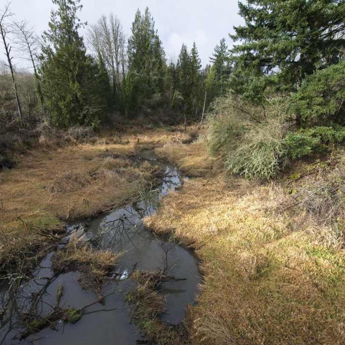 Near North Johnson Creek Trail