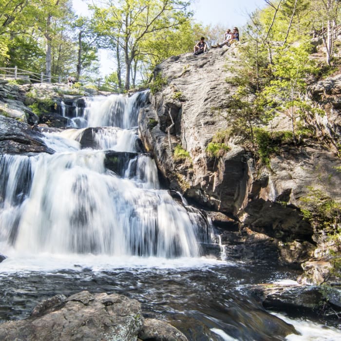 Near Orange Vista Trail Near Orange Vista Trail