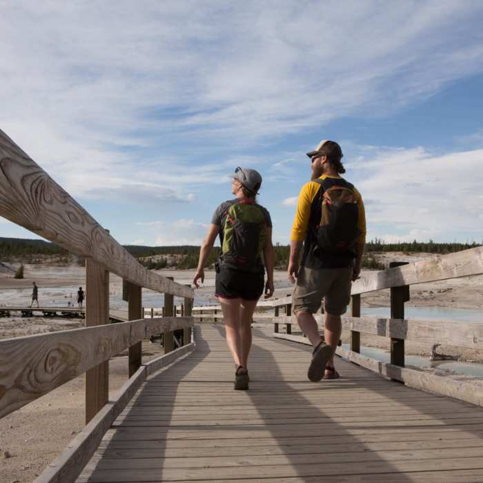 Near Norris Geyser Basin