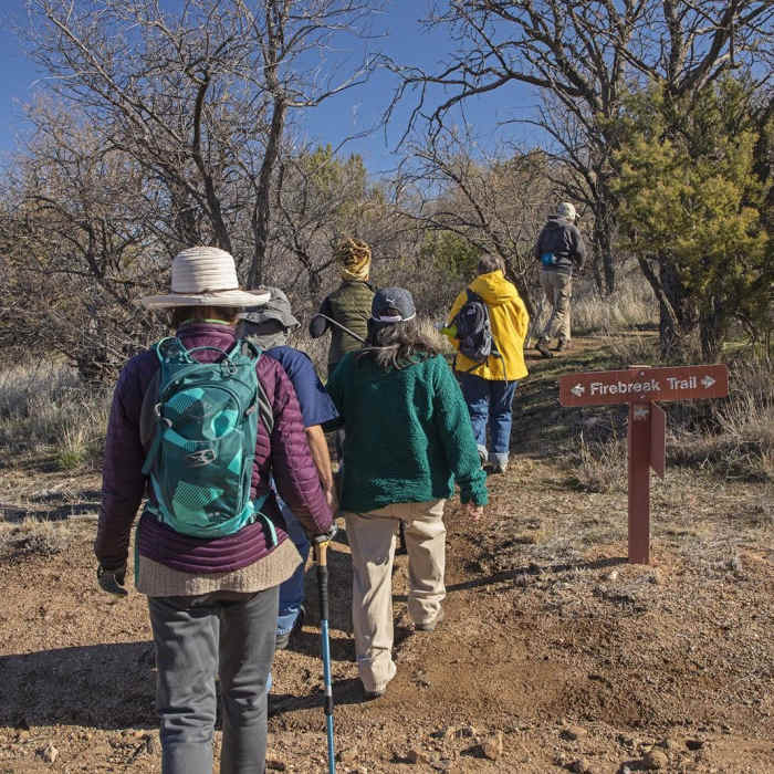Near Firebreak Trail