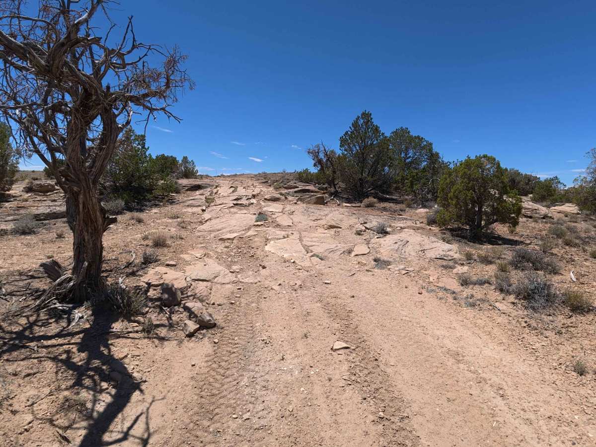 Pick Ax Road trail photo