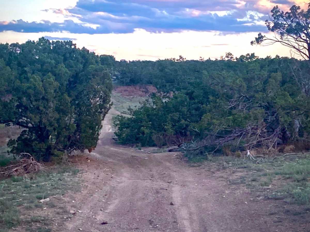 BLM-SFNF Connector & Camping photo 6