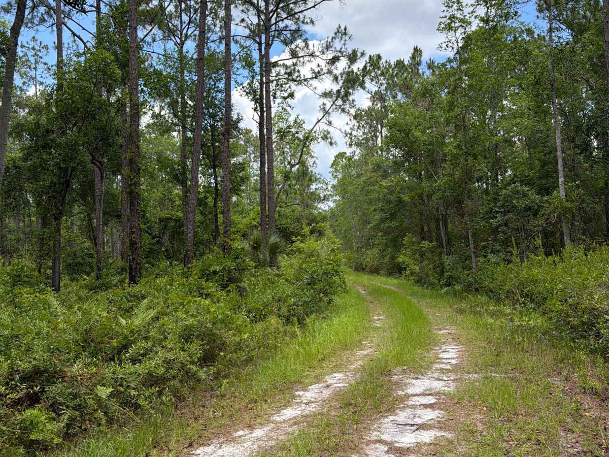 Crooked Road trail photo