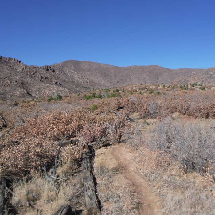 Near Los Alamos Natural Arch Out-and-Back