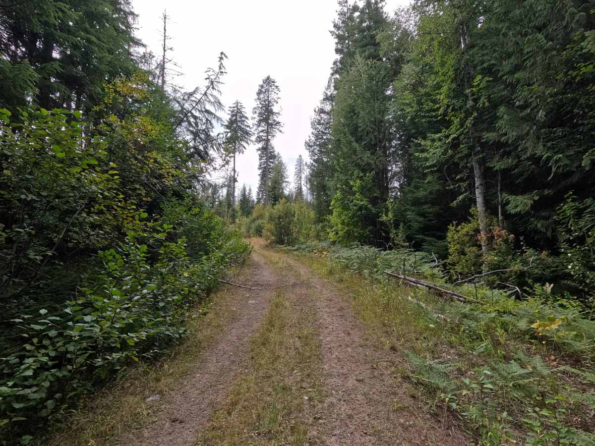 Galena Basin - FS 1089 photo 4