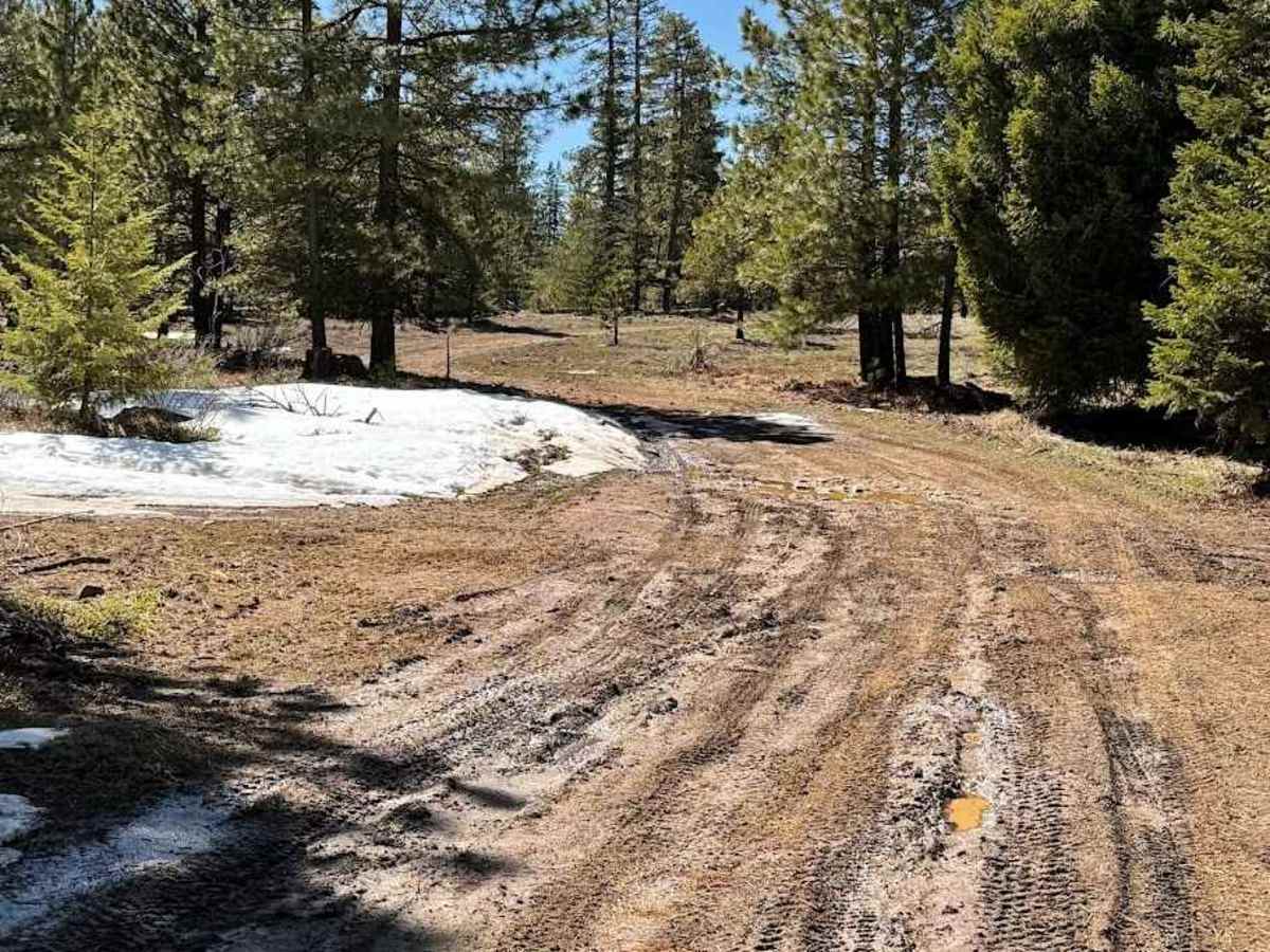 Dawson Road trail photo