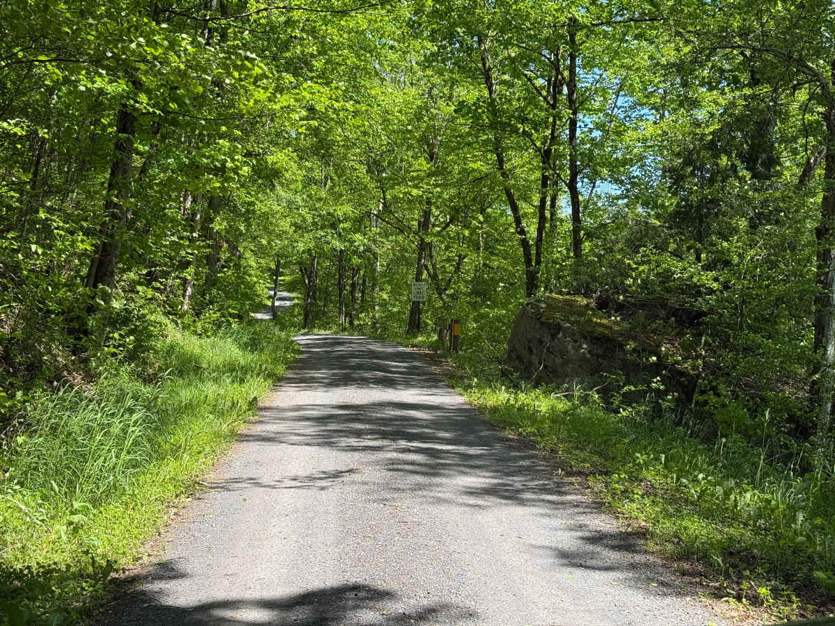 Lafayette Spring - FS 313 photo 5