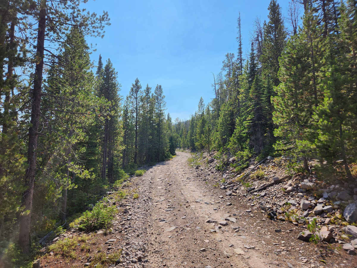 Emerine Trail photo 3