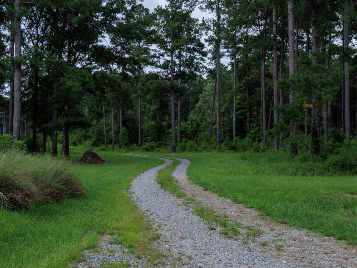 Brier Creek Access photo 4
