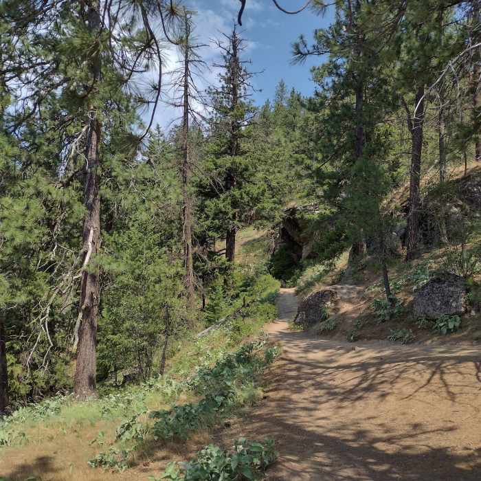 Near Tubbs Hill Summit Trail