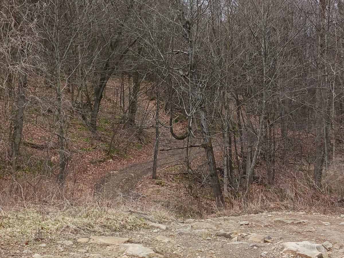 Trail 15 - Rock Run Recreation Area trail photo