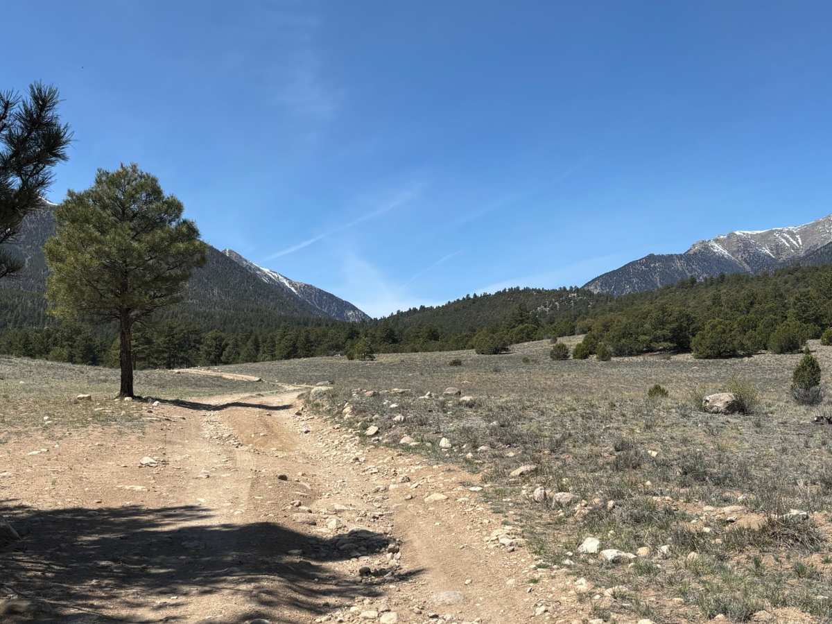 Eddy Creek Road photo 3