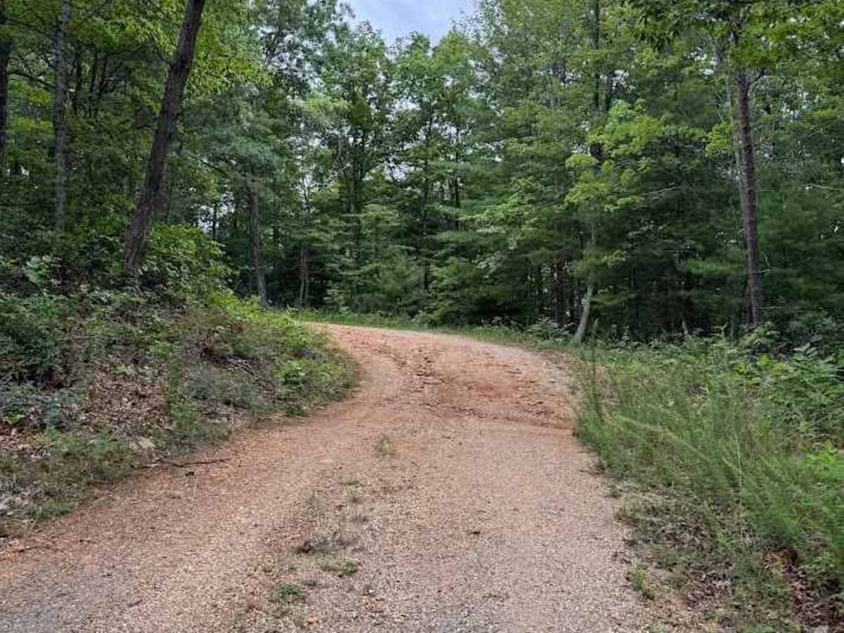 Cedar Bridge Hollow trail photo