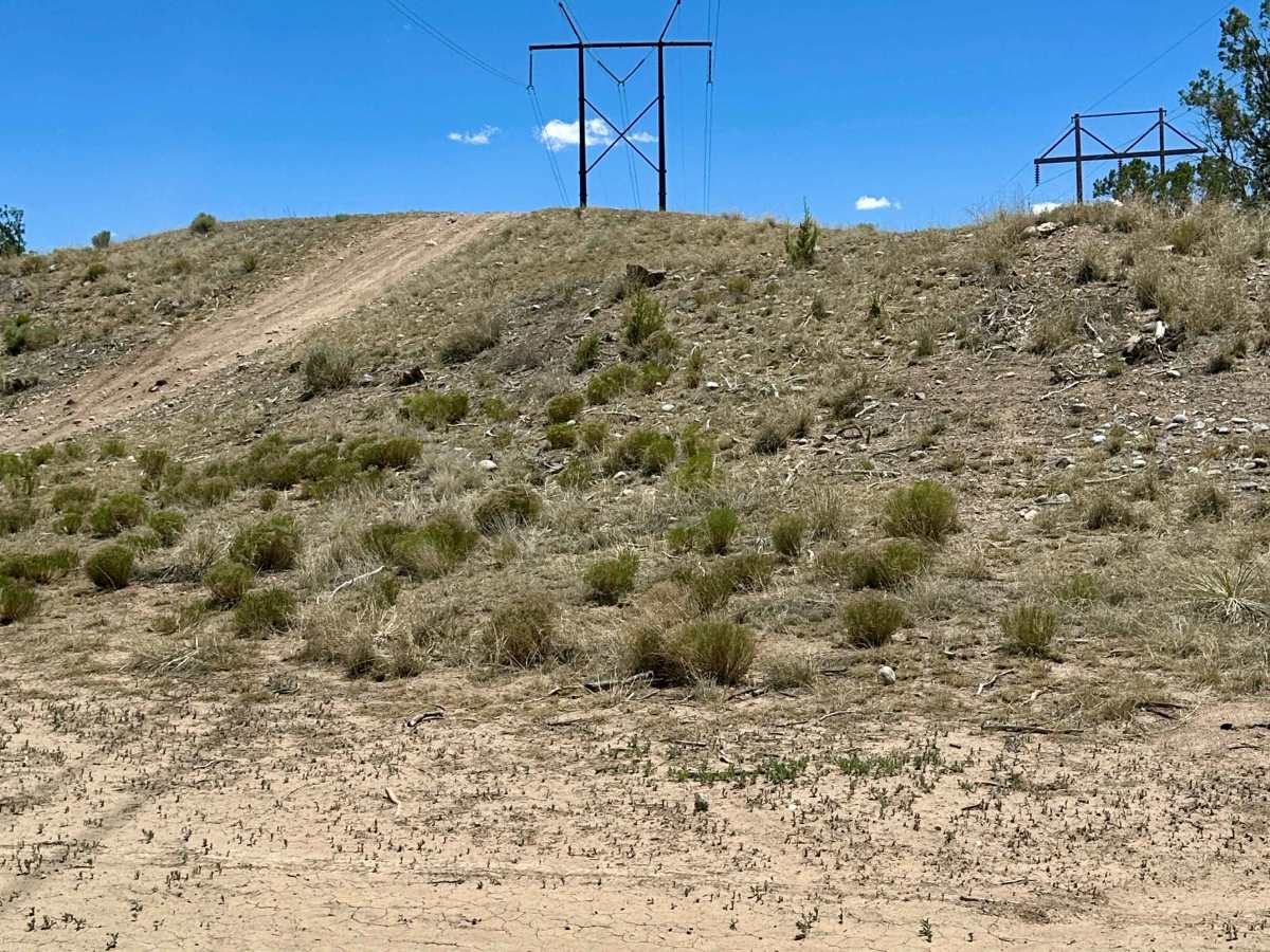 Little Hill photo 4