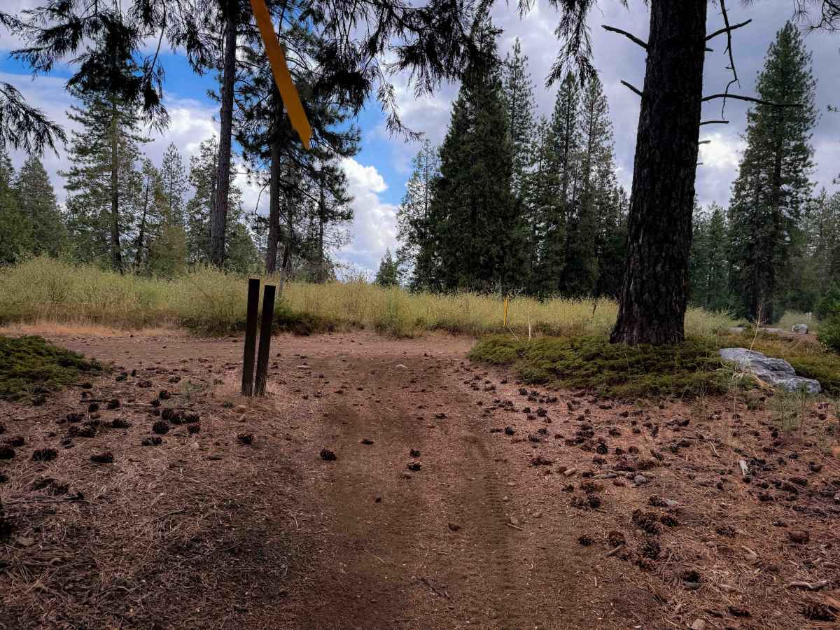 15EV65  trail photo