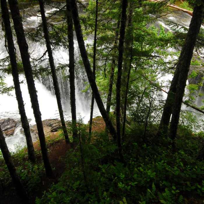 Near Lewis River Falls