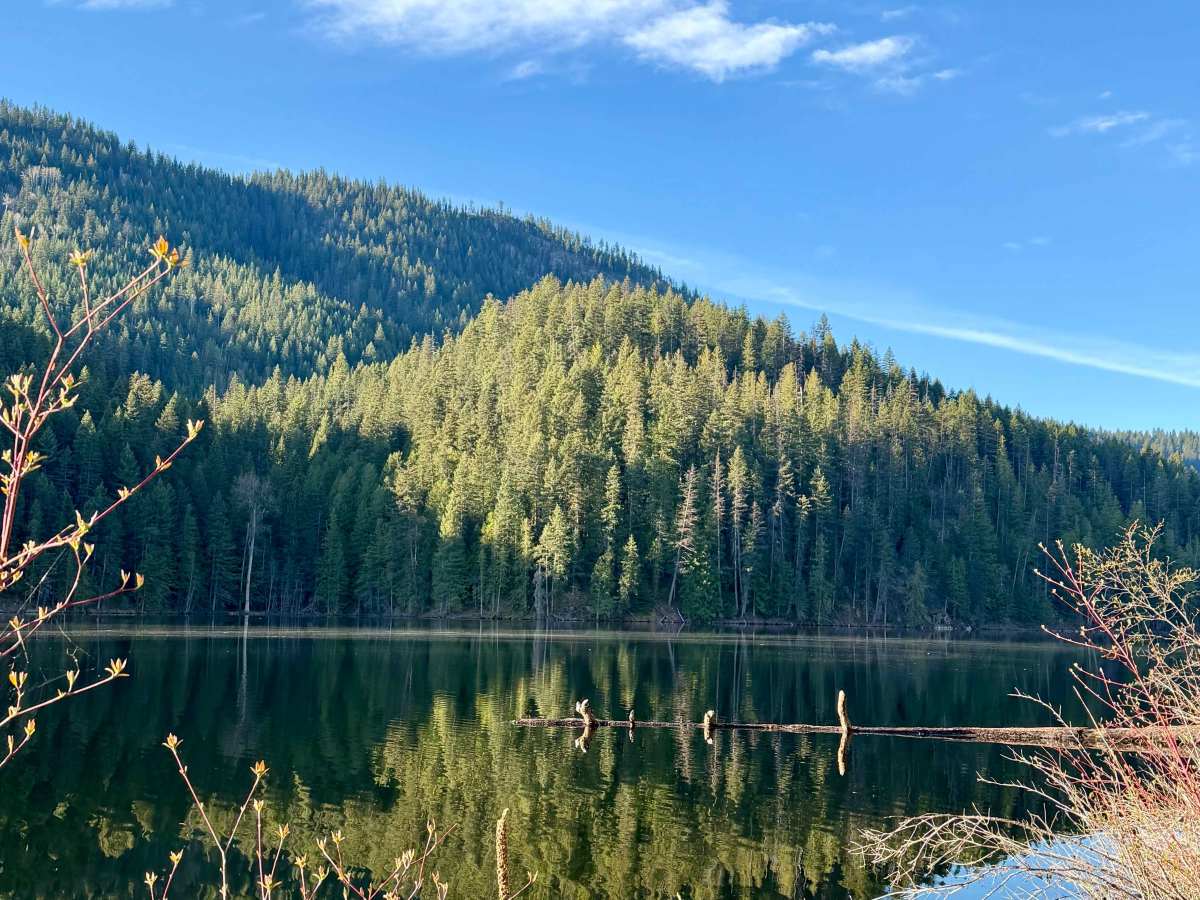 Harper Lake Road photo 2