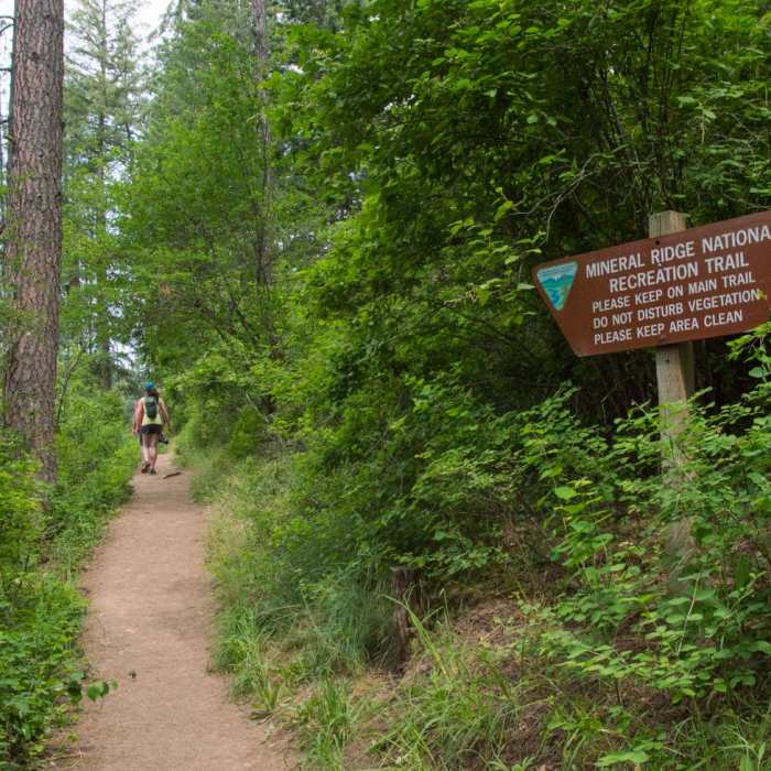 Near Mineral Ridge National Recreation Trail