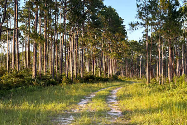 Camp 48 Trail