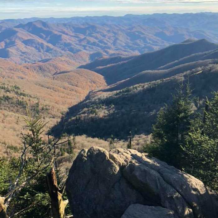 View from summit. Near Waterrock Knob