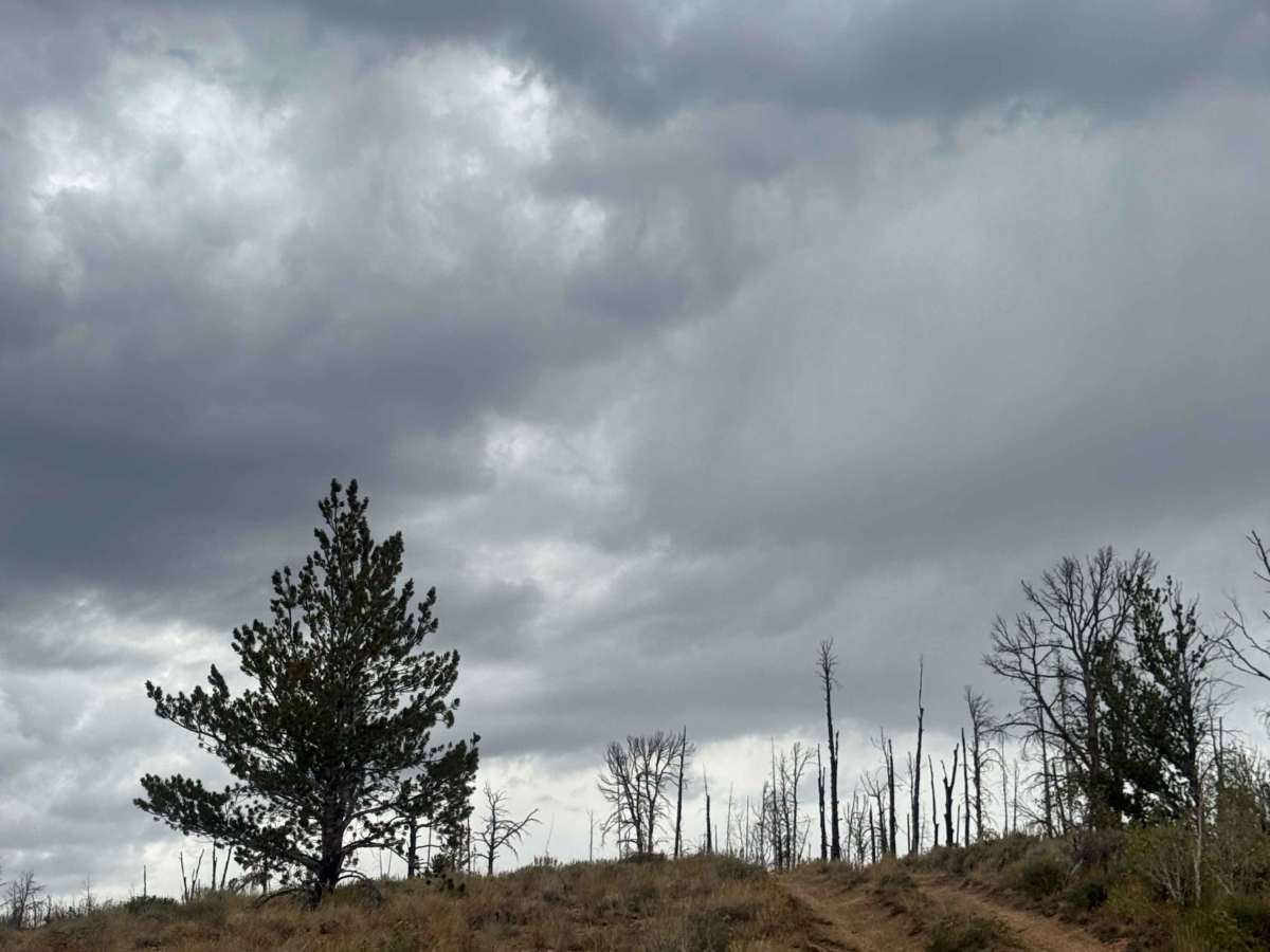 West Gramm Spur photo 4