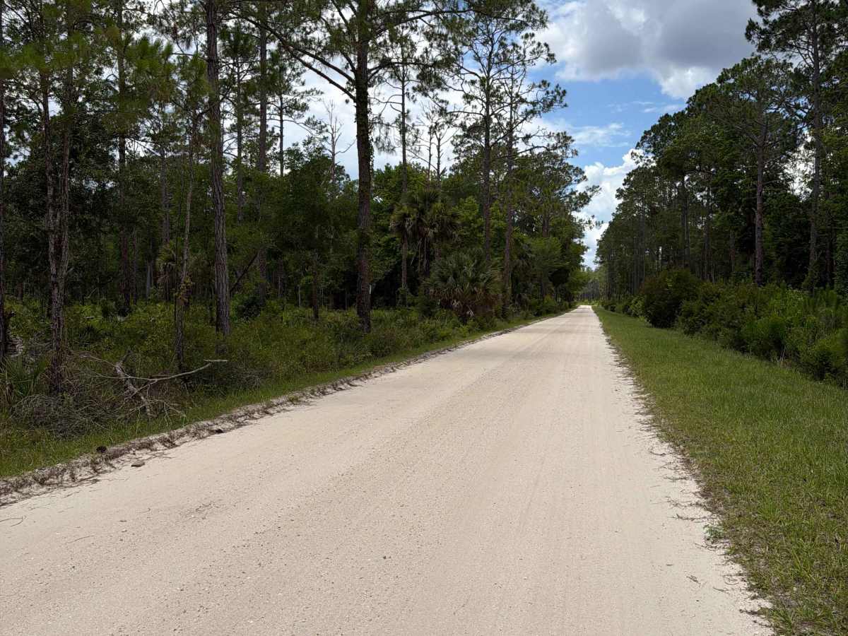 Volusia Bar Road photo 5