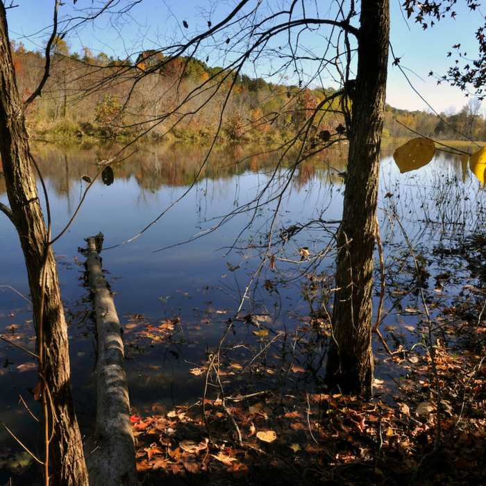 Waterfowl Impoundment at Forney Creek Trail. Near Forney Creek Trail: Catawba Springs Preserve Segment