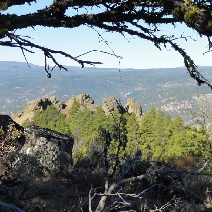 Near Oregon Desert Trail (Seg. 7): Paisley to Abert South