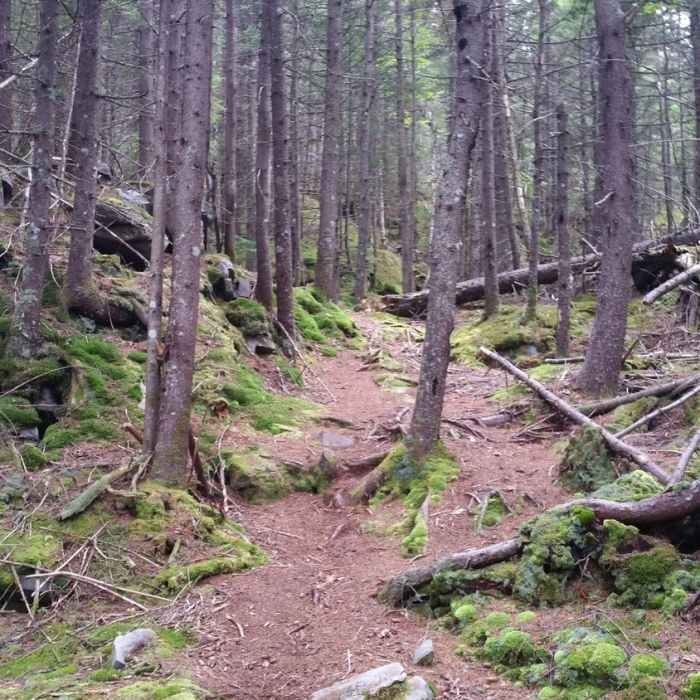 Starting the descent Near Green Mountain Trail #424
