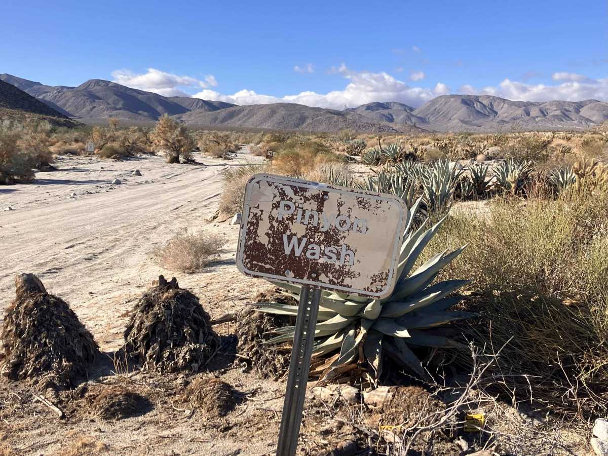 Pinyon Canyon trail photo