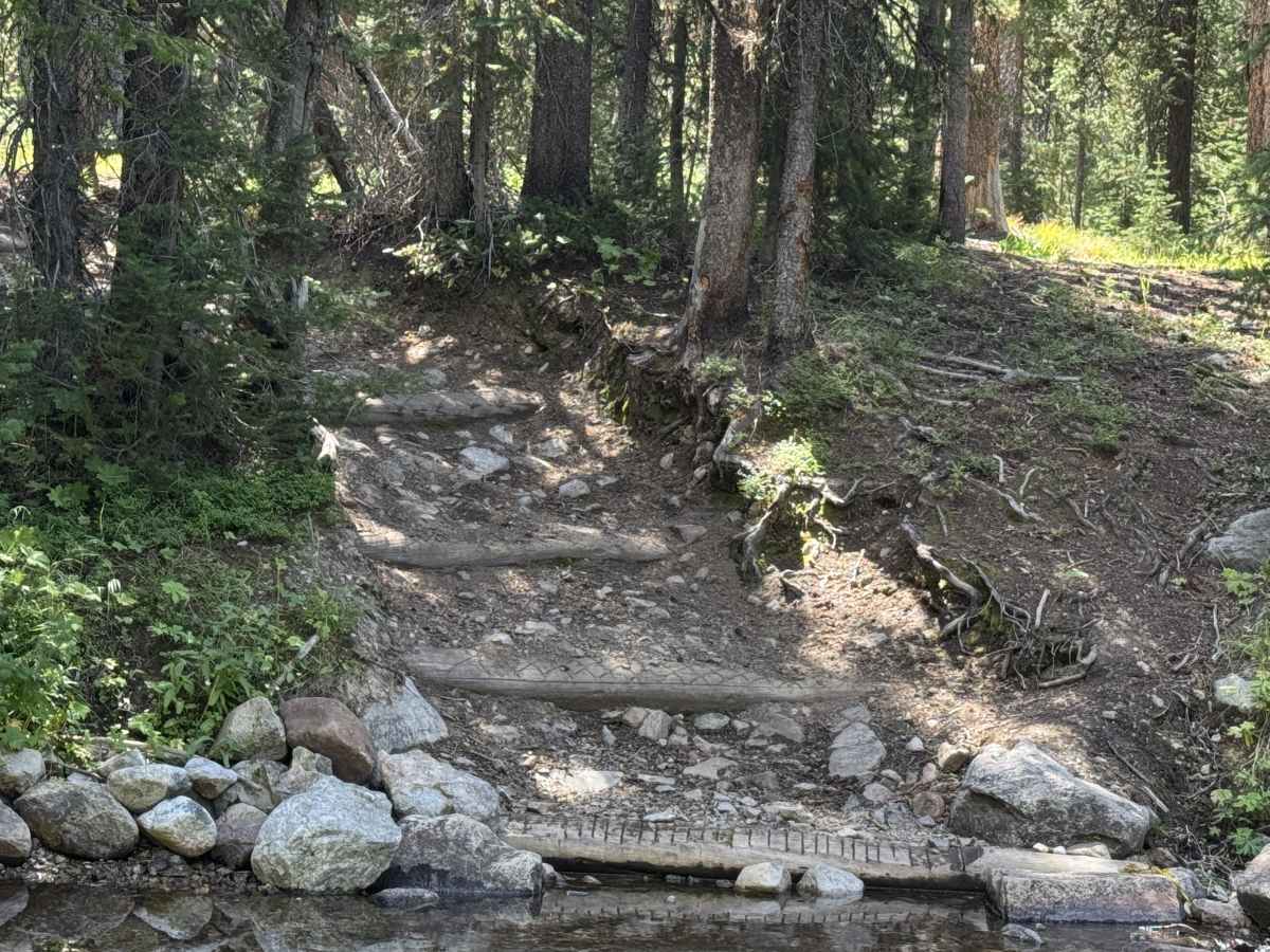 Valley Creek - FSR 4039 photo 2