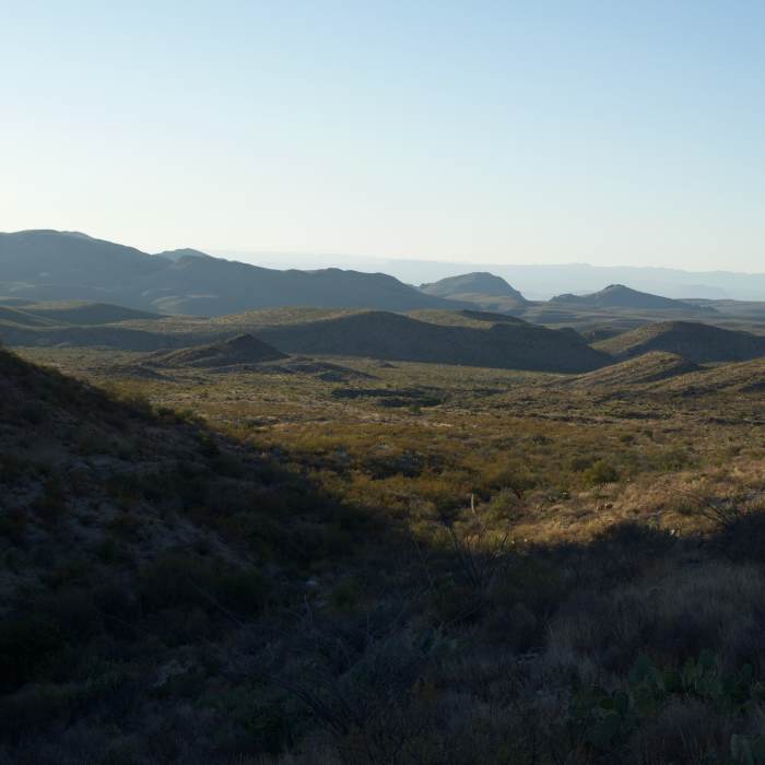 Near Ward Spring Trail