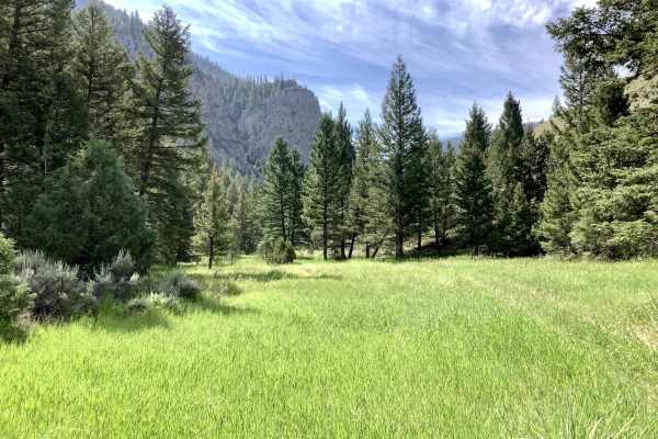 Van Dorn Canyon Trail