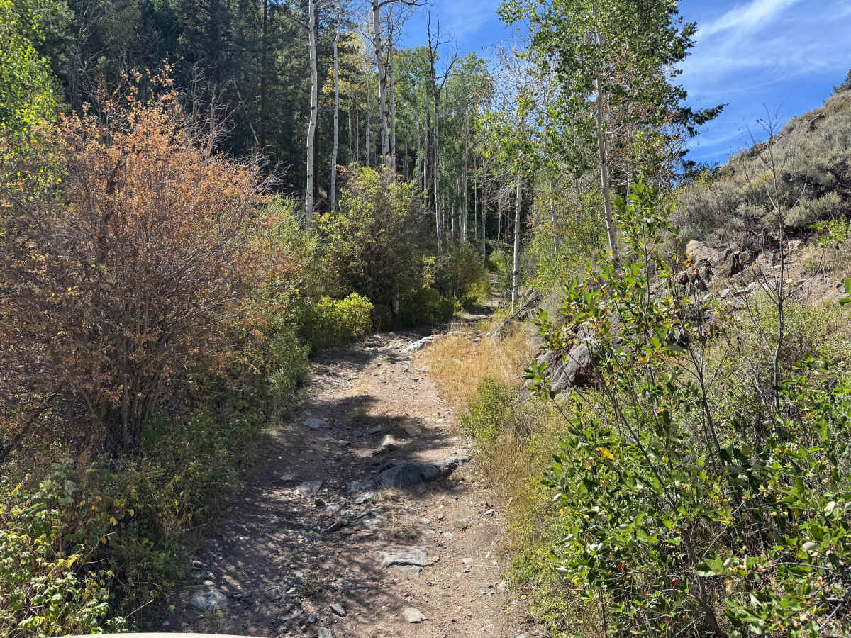 Willow Creek Road photo 4