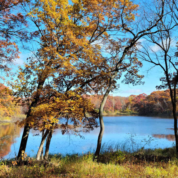 Portage Lake in October Near Lebanon Hills Regional Park