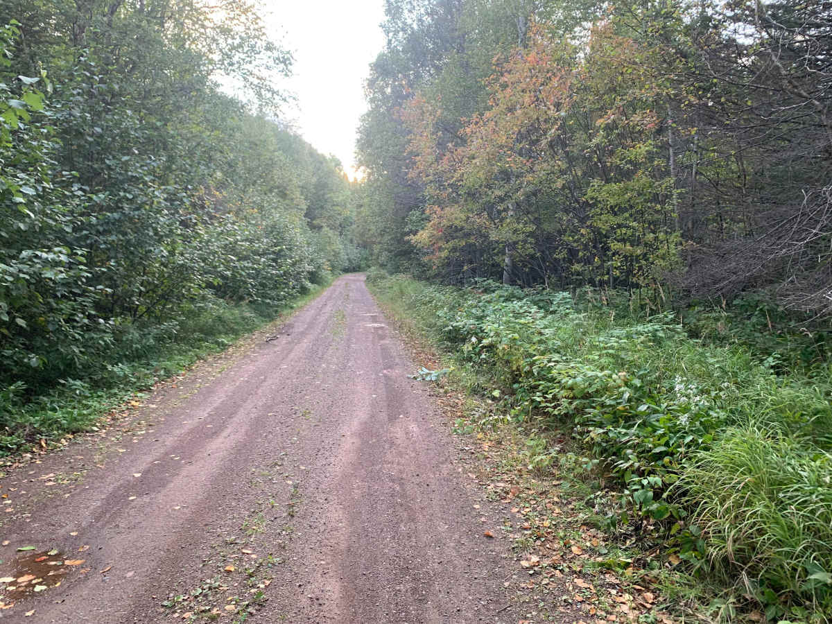 Cloquet Lake Road - FS 102 photo 5