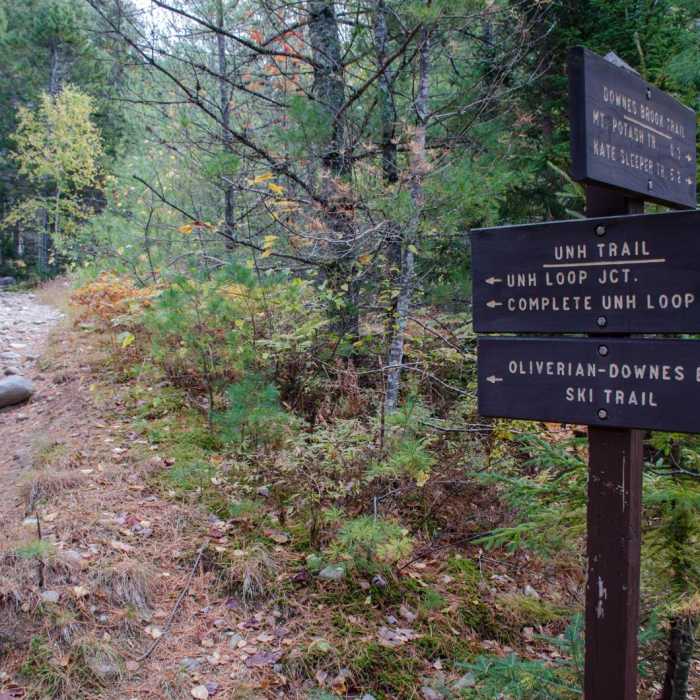 Near Hedgehog Mountain Near Hedgehog Mountain