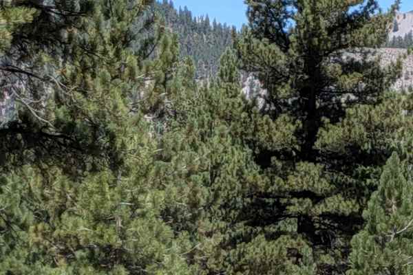 Forest Service Road 2S129