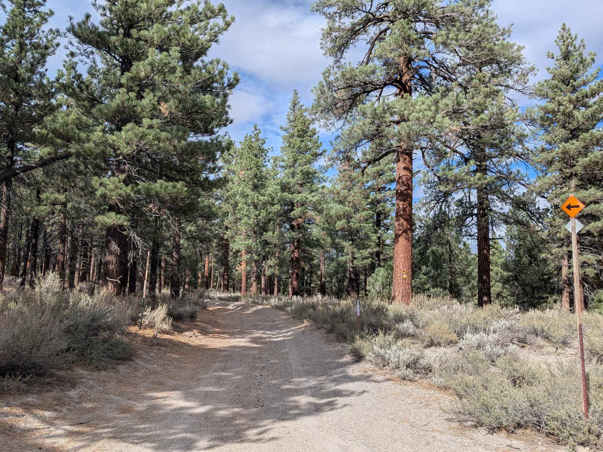 Lookout Mountain Lateral - FS 2S87 trail photo
