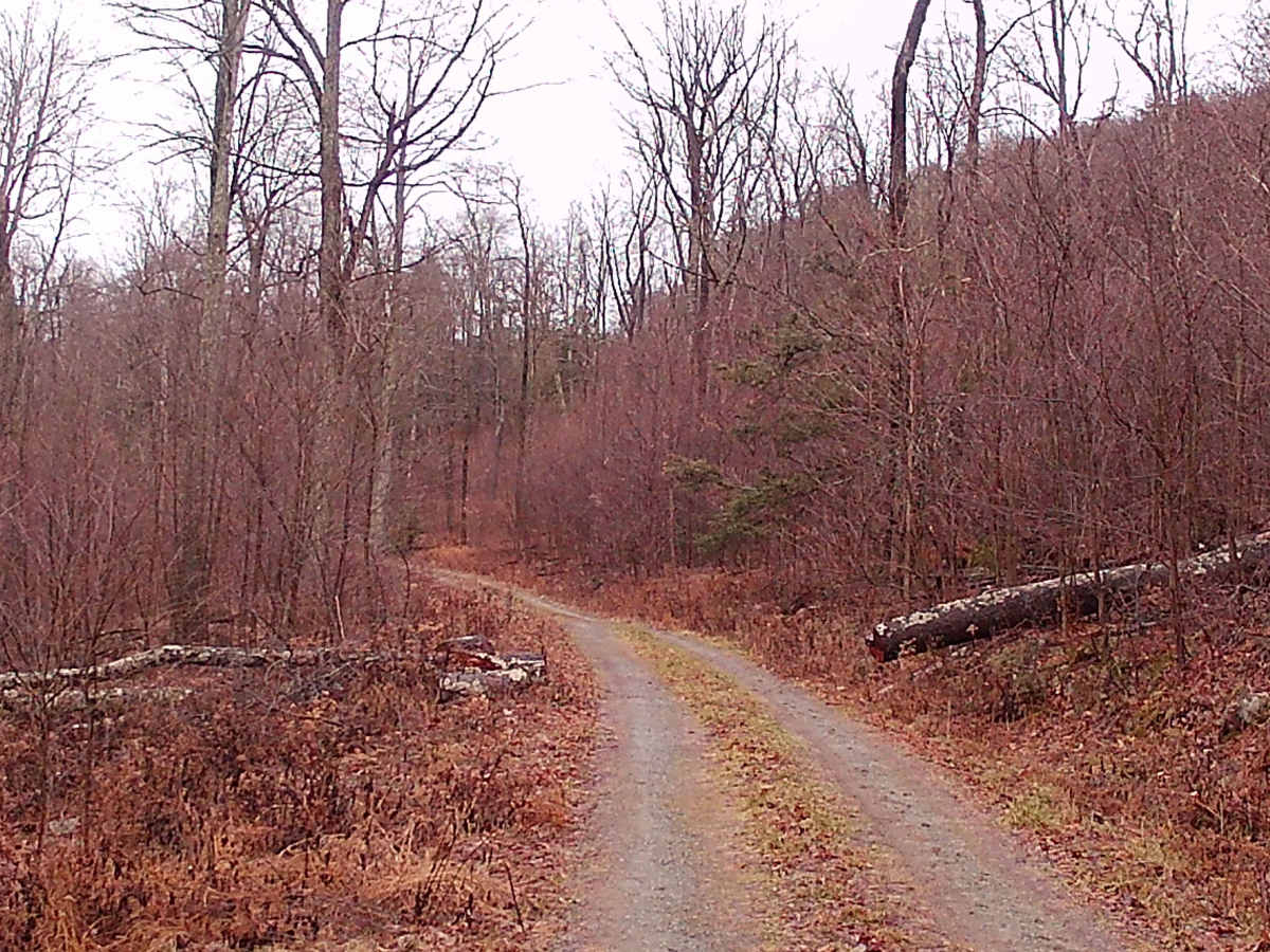 West Huckle Run Road photo 4