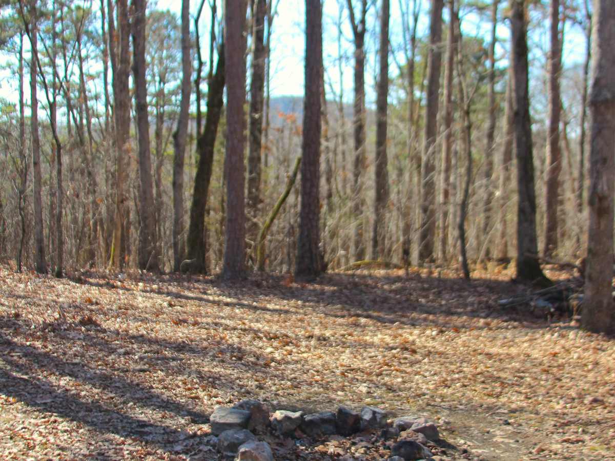 Peas Hollow - FS 421 trail photo