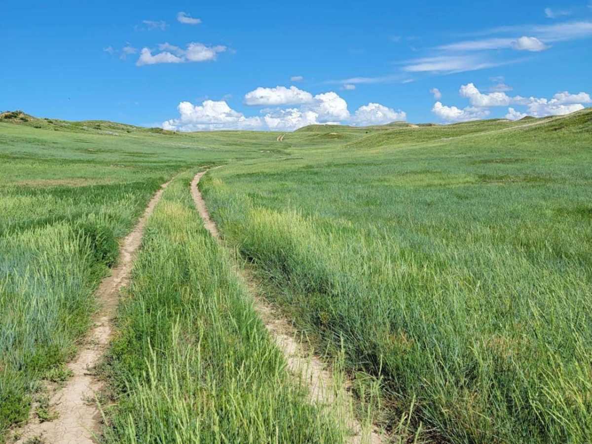 Tour of the Grasslands trail photo