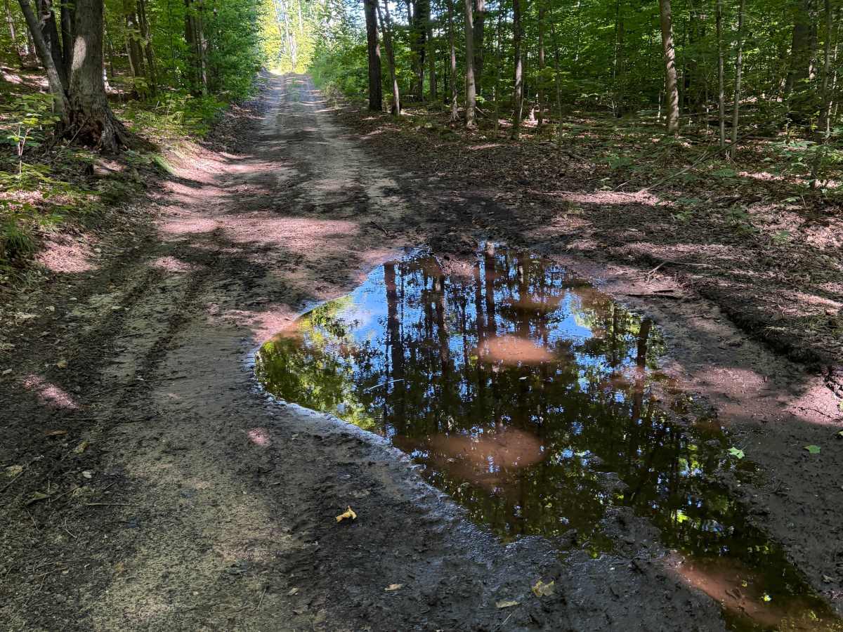 Alkire Trail photo 5