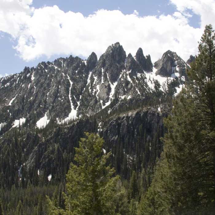 Near Alpine Way Trail, Iron Creek to Stanley Lake