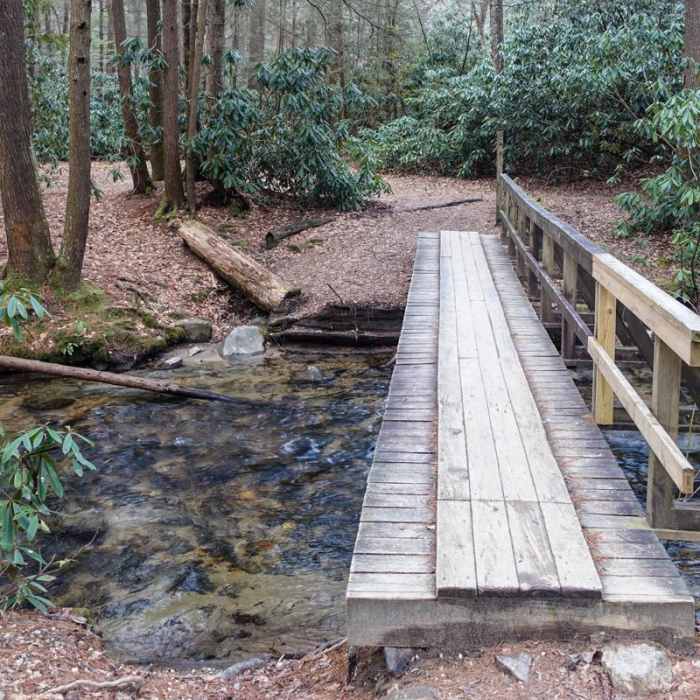 Near Springer Mountain Loop via Three Forks