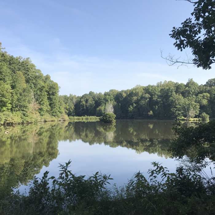 Near Lake Haigler Loop