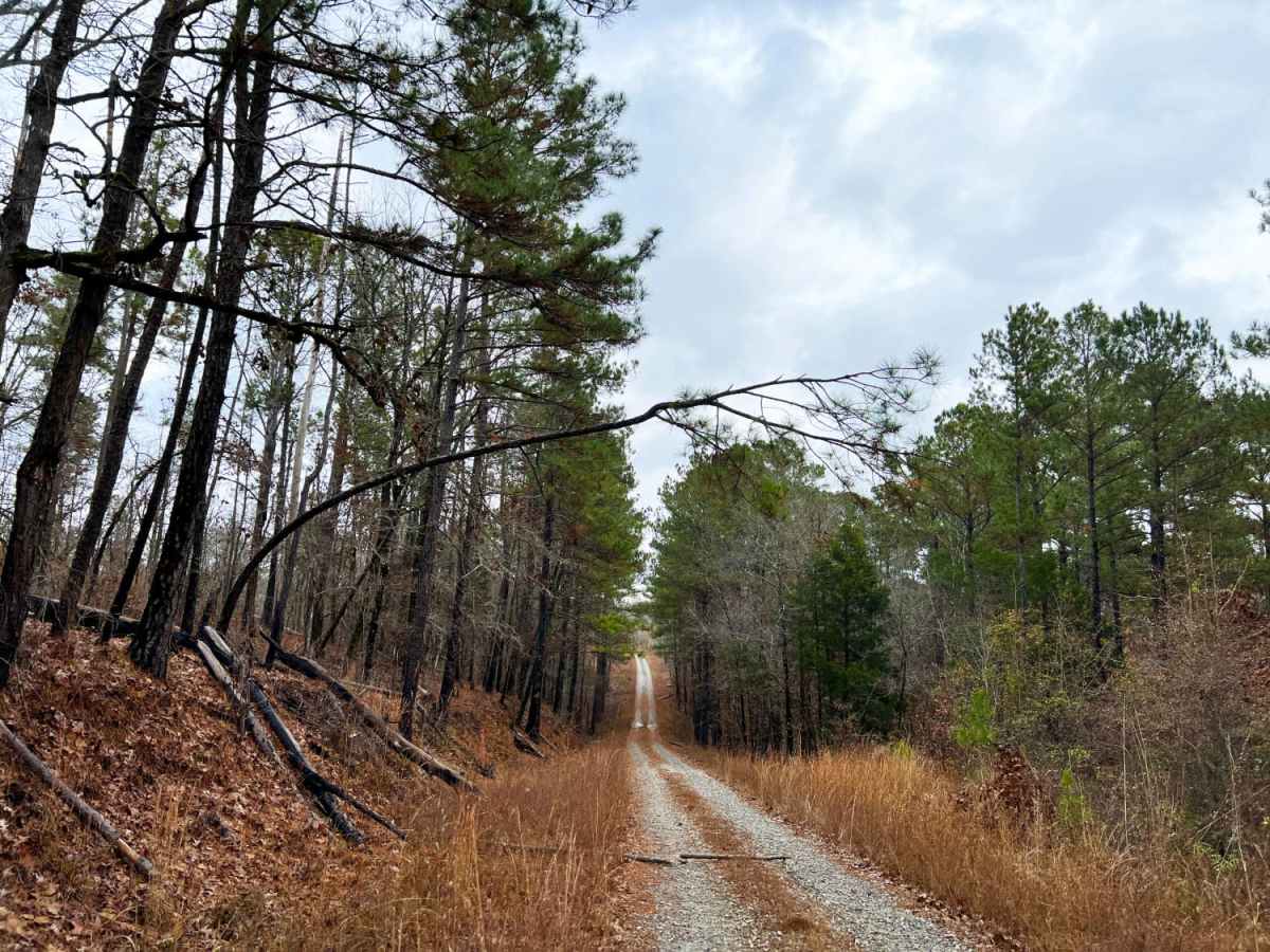 Pope Loop photo 5