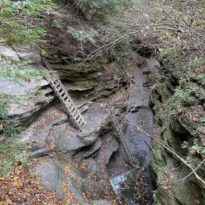 Near 5-Mile Challenge