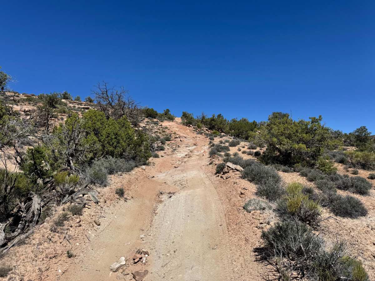 Trail Canyon Shortcut photo 4