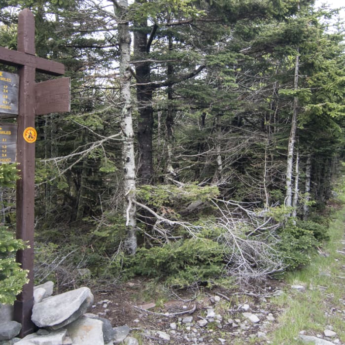 Near Becker Hollow to Hunter Fire Tower